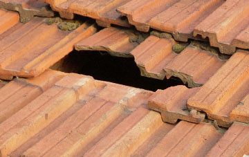 roof repair Droop, Dorset