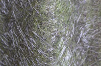 Droop fibreglass roof work